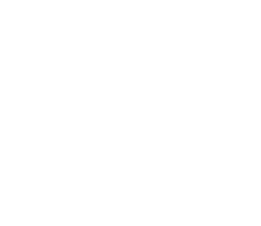 Spartan Logo