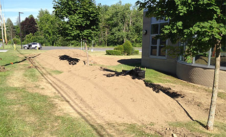 piles of dirt on lawn