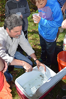 teacher using tongs to take baby salmon out of a cooler