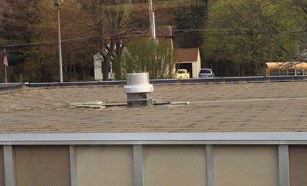 top of the middle school roof with grass sticking out